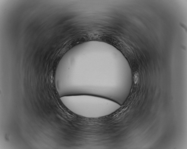 X0000097871011200803140913