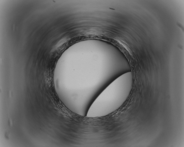 X0000097871015200803140913