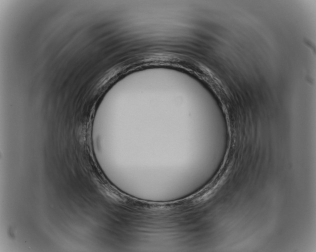 X0000097871017200803140913