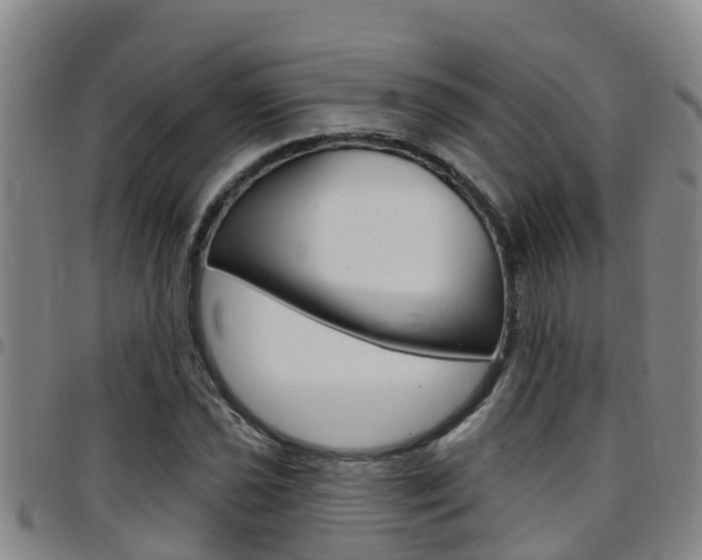 X0000097871021200803140913