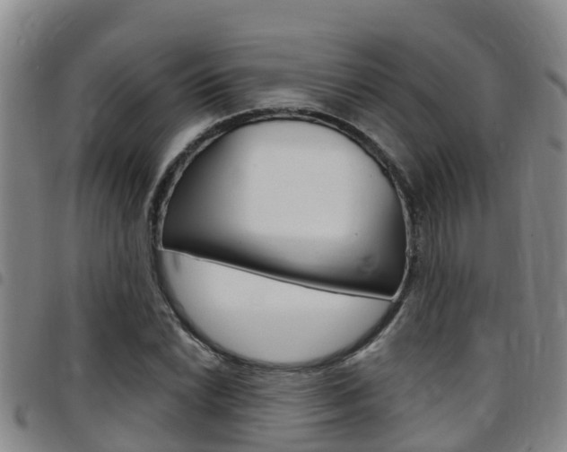 X0000097871022200803140913