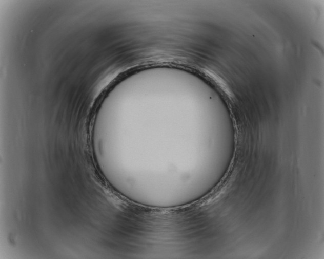 X0000097871023200803140913