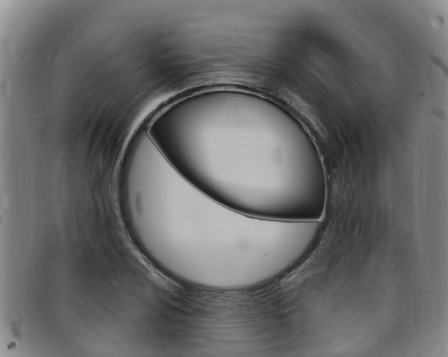 X0000097871024200803140913
