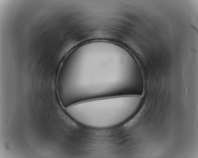 X0000097871025200803140913