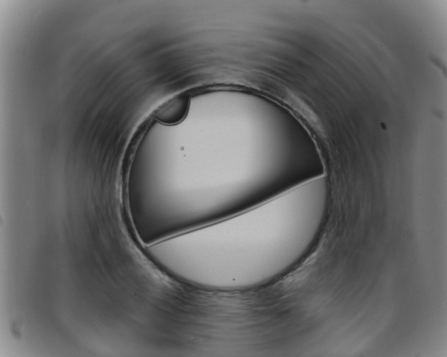 X0000097871028200803140913
