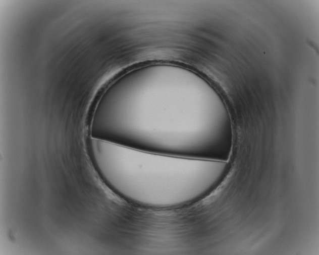 X0000097871029200803140913