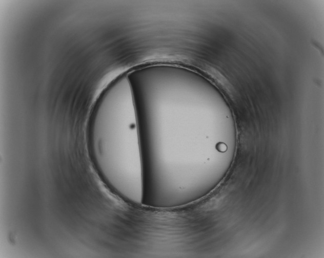 X0000097871030200803140913