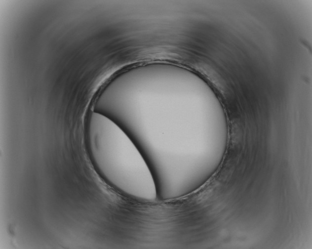 X0000097871031200803140913