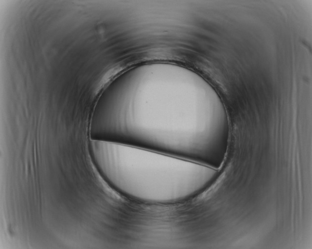 X0000097871033200803140913