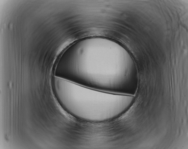 X0000097871034200803140913