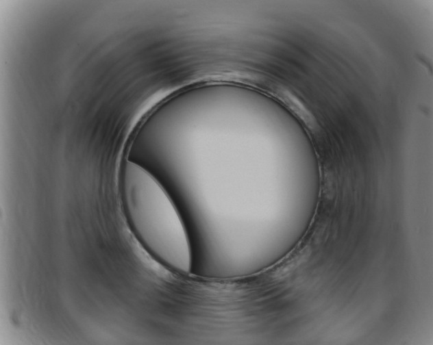 X0000097871036200803140913