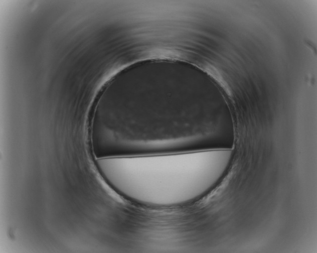 X0000097871037200803140913