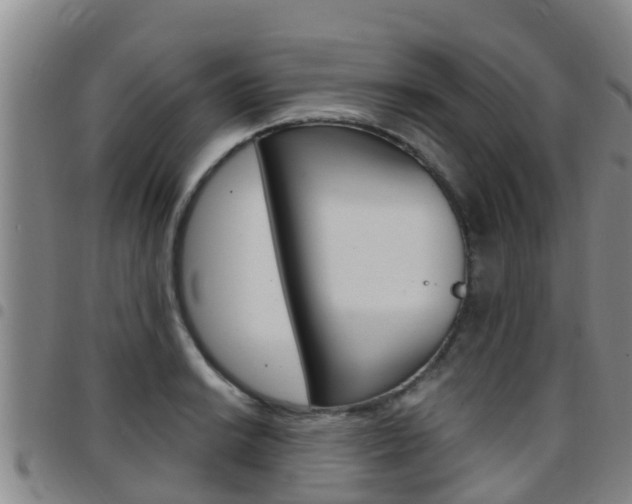 X0000097871038200803140913