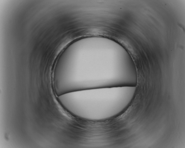 X0000097871039200803140913
