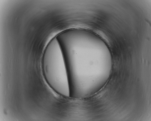 X0000097871040200803140913