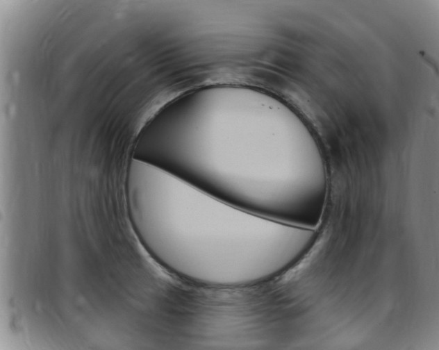 X0000097871041200803140913