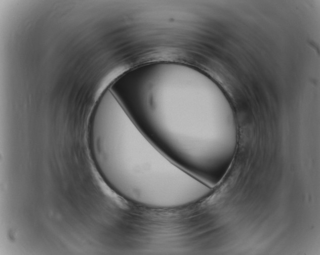 X0000097871042200803140913