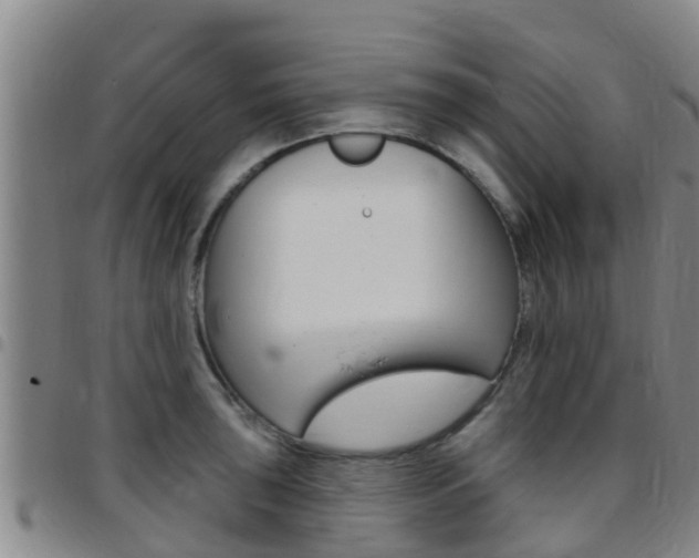 X0000097871043200803140913