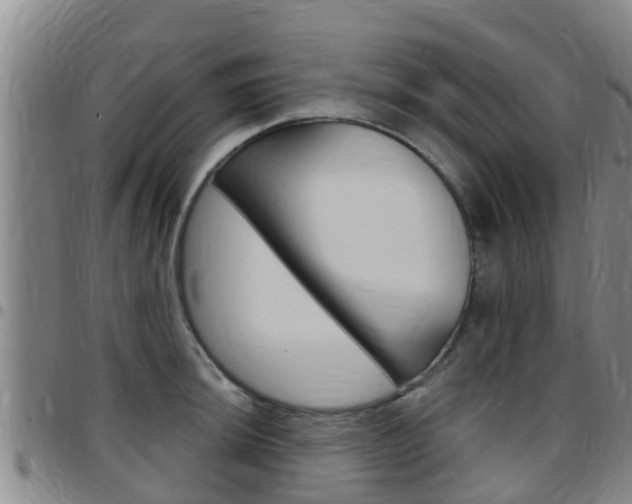 X0000097871044200803140913