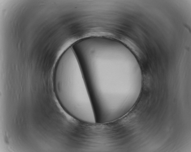 X0000097871046200803140913