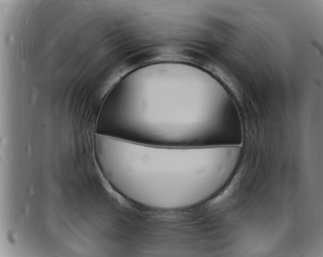 X0000097871049200803140913
