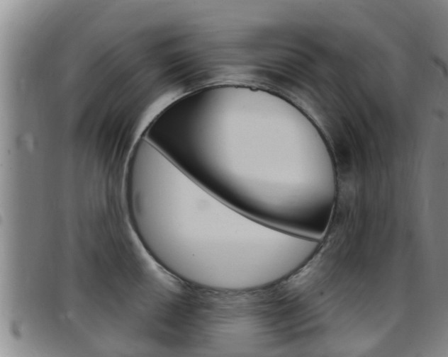 X0000097871050200803140913