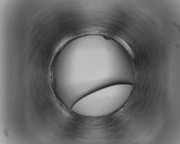 X0000097871051200803140913