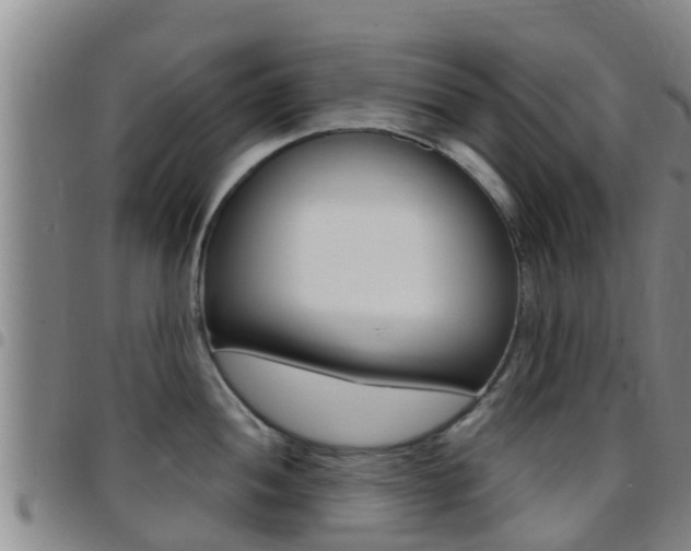 X0000097871052200803140913