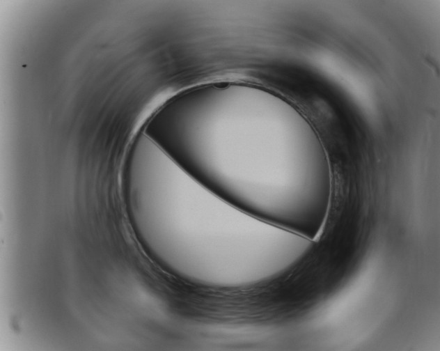 X0000097871054200803140913