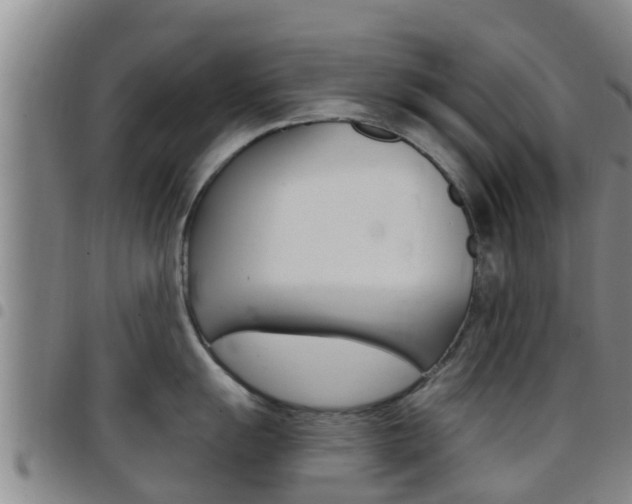 X0000097871055200803140913