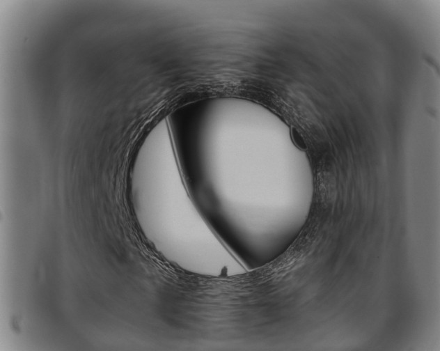 X0000097871057200803140913
