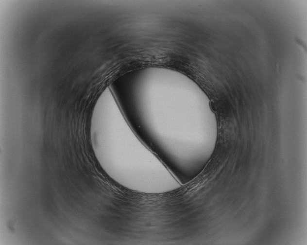 X0000097871058200803140913
