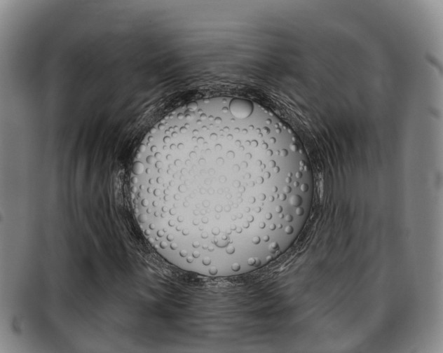 X0000097871059200803140913