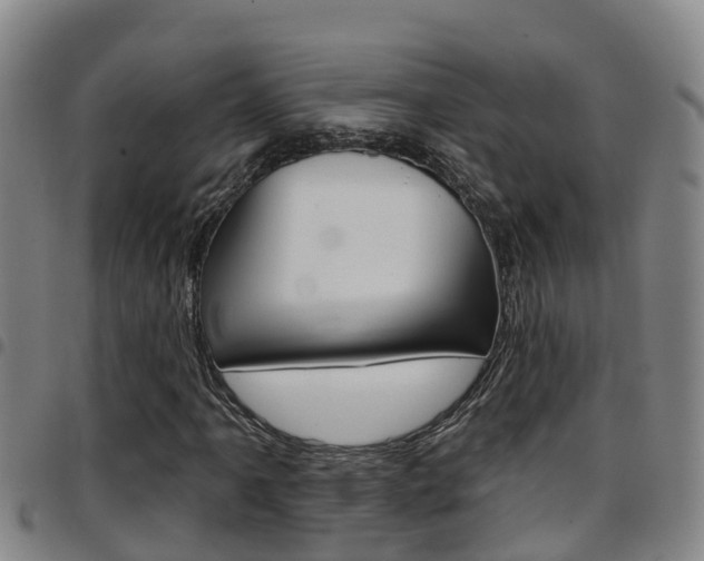 X0000097871061200803140913