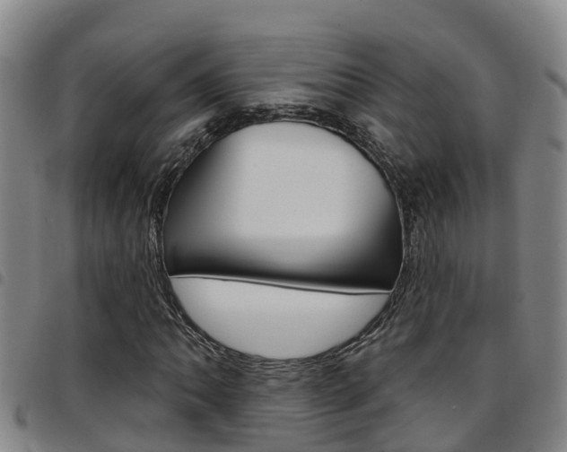 X0000097871062200803140913