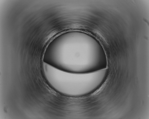 X0000097871065200803140913
