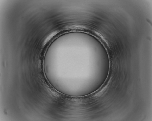 X0000097871066200803140913