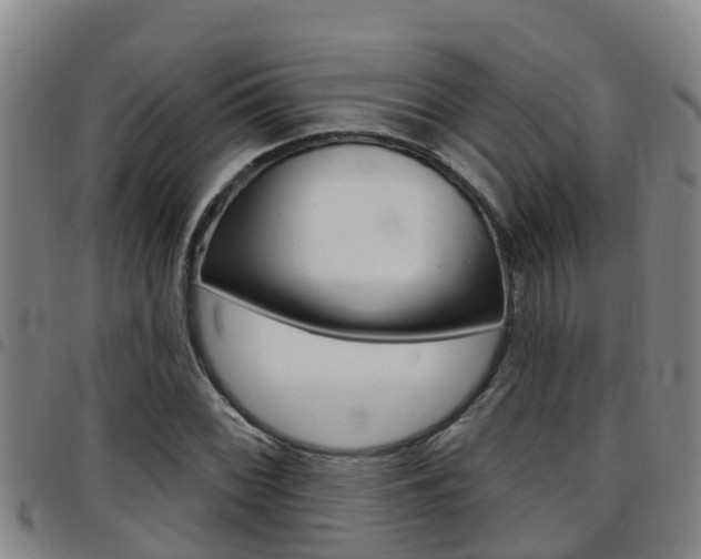 X0000097871068200803140913