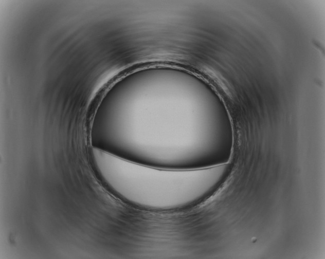 X0000097871069200803140913