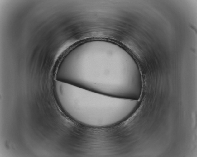 X0000097871070200803140913