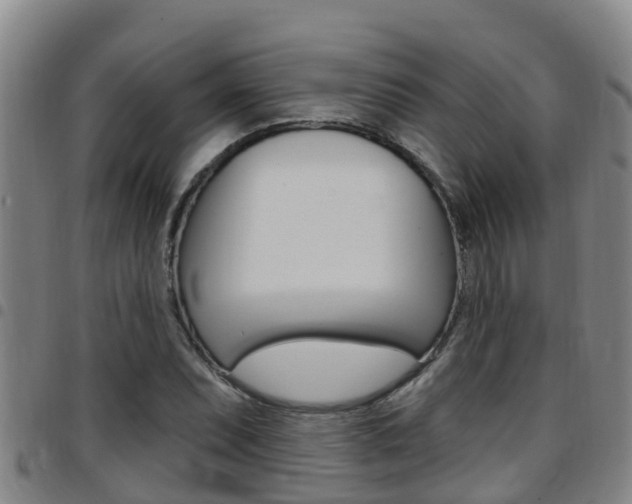 X0000097871071200803140913