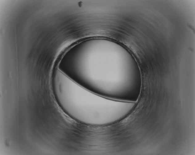X0000097871072200803140913