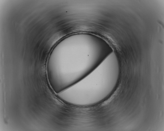 X0000097871073200803140913