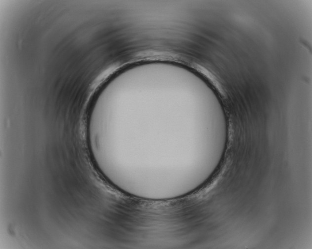 X0000097871074200803140913