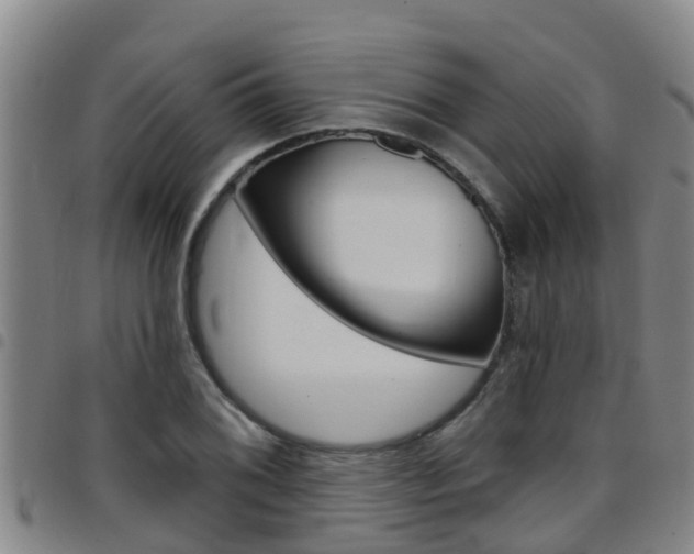 X0000097871076200803140913