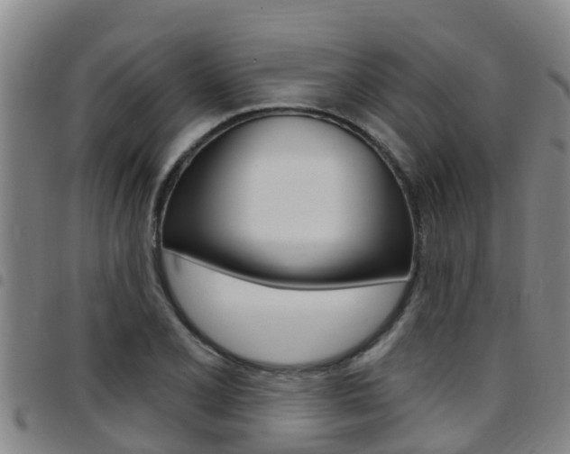 X0000097871077200803140913