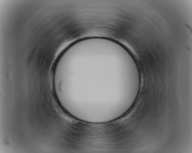 X0000097871078200803140913