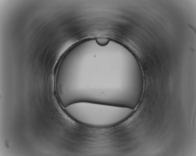 X0000097871079200803140913