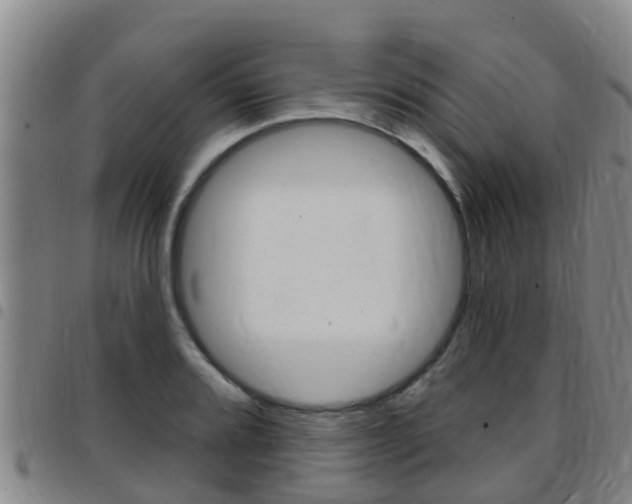 X0000097871080200803140913