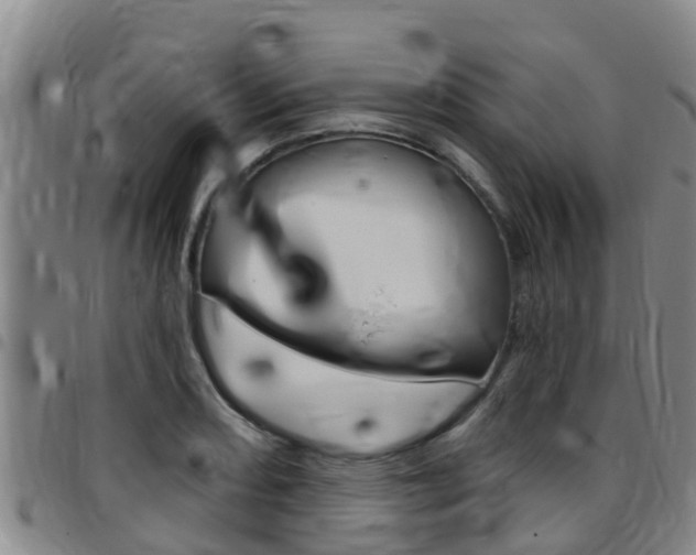 X0000097871082200803140913